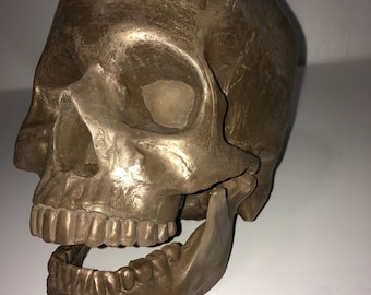 Cráneo humano - Bronce fundido en frío