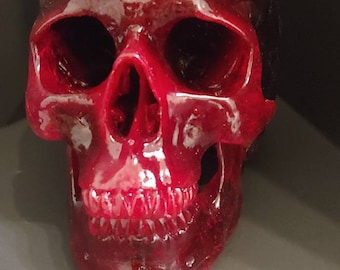 Cráneo humano - Desvanecimiento rojo