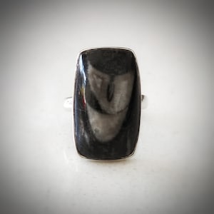 May include: A silver ring featuring a rectangular black and white gemstone. The stone has a swirling pattern.