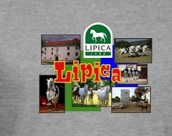 Mens Lipica Slovenia Postcard Tee