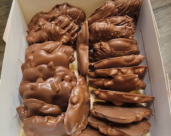 Milk Chocolate Pecan Turtles