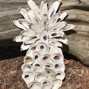 Oyster Shell Pineapple - Mother’s Day - Welcome - beach - spring - shabby chic - Wall Decor - Pawleys Island