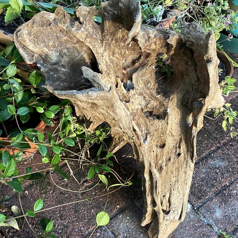 Image showcasing Orangide Porch Goose Beach Accessories Set, 3-Piece Lei Straw Hat And ...