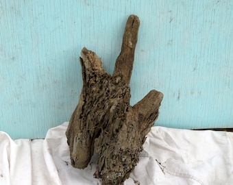 Driftwood - South Carolina - beach - coastal - decor - driftwood piece - garden - guitar - bee hive - teredo