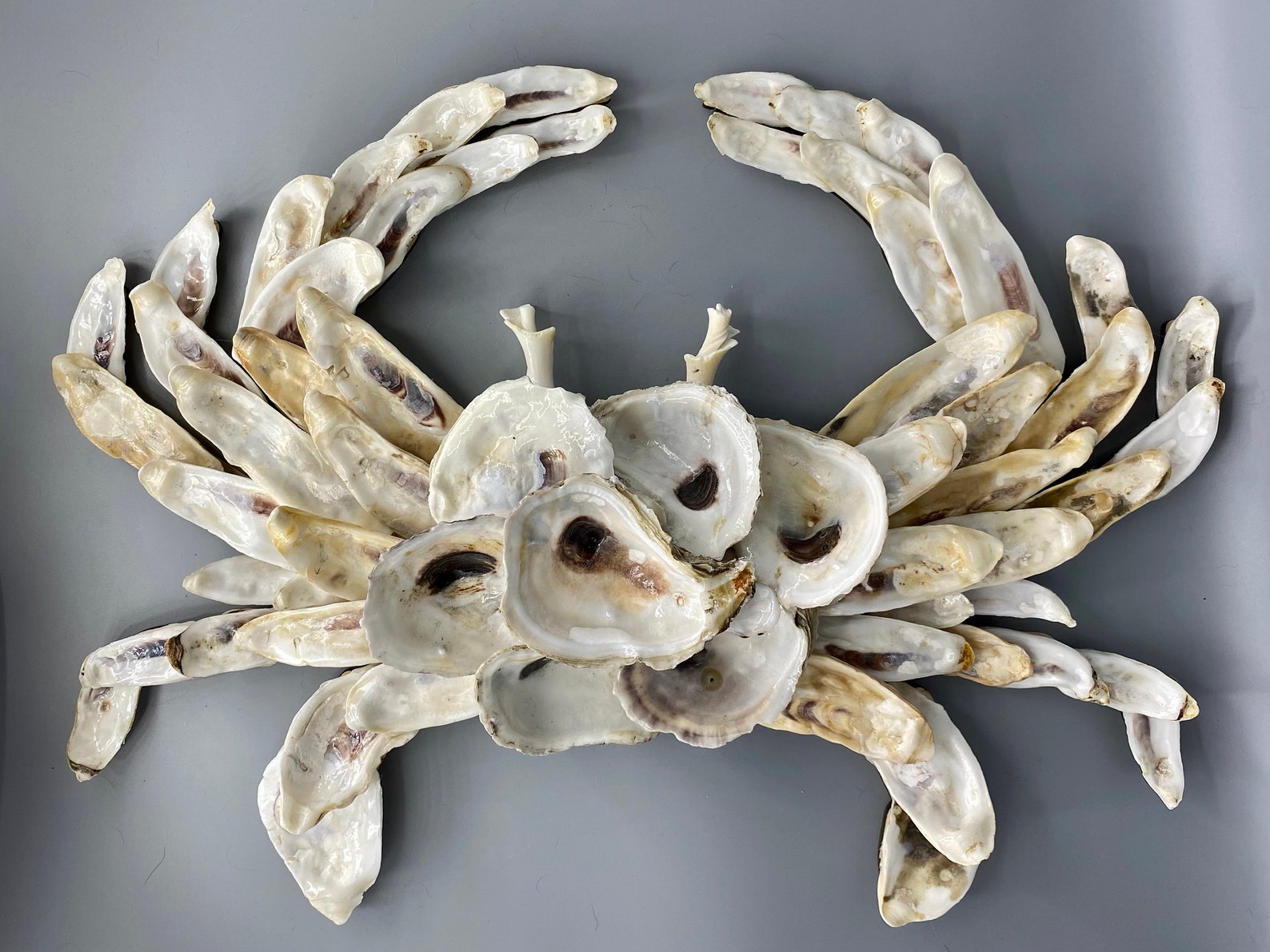 Oyster Shell Crab Wall Art – Coastal Decor, Housewarming Gift
