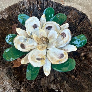 Oyster Shell Magnolia Blossom - Hand Painted - Southern Charm