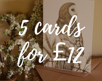 CARDS MIX & MATCH • Any 5 cards • wildlife art • plastic-free • recycled • eco friendly • notelets • birds • bees • mammals • Natalie Toms