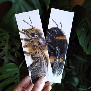 BOOKMARKS • Set of 2 • bees • wildife • gifts for beekeepers • gardeners • nature • book • bookworm • bibliophile • recycled • Natalie Toms