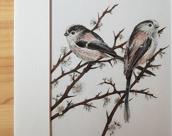 PRINT • Long-tailed Tits in Blackthorn • Giclee • garden birds • wildlife art • Valentine's • nature lovers • Cornish artist • Natalie Toms