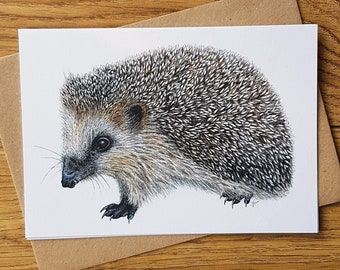 CARD • Cautious Hedgehog • garden wildlife • nature • watercolour • ink • gifts for gardeners • eco friendly • Cornwall • Natalie Toms