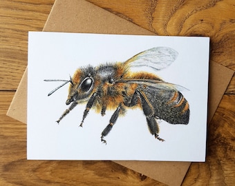 CARD • Cornish Black Bee • honey bee • wildlife • nature • beekeeper gift • bee lover • B4 Project • apiary • Cornwall • Natalie Toms