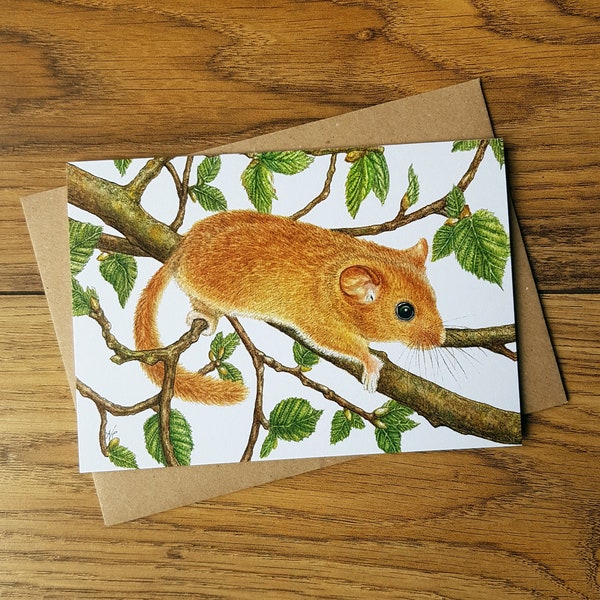 CARD • Hazel Dormouse • mouse art • wildlife lover • nature • woodland • watercolour • conservation • eco friendly • Cornwall • Natalie Toms