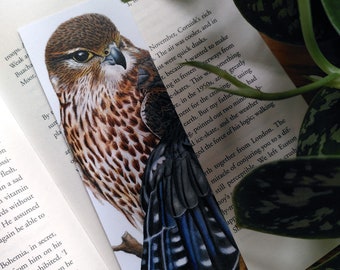 BOOKMARK • merlin falcon • bird art • wildife art • gifts for nature lovers • bookworm • bibliophile • recycled • Cornwall • Natalie Toms