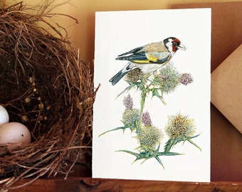 CARD • Goldfinch at Creek House • finch • charm • gold bird • wildlife art • songbird • social • thistles • garden • Cornwall • Natalie Toms