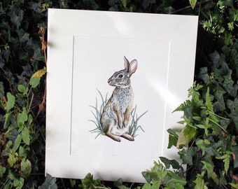 PRINT • Rabbit • hand signed Giclée print • Cornish artist • wildlife art • Easter • rabbit illustration • Pointillism • bunny • Cornwall