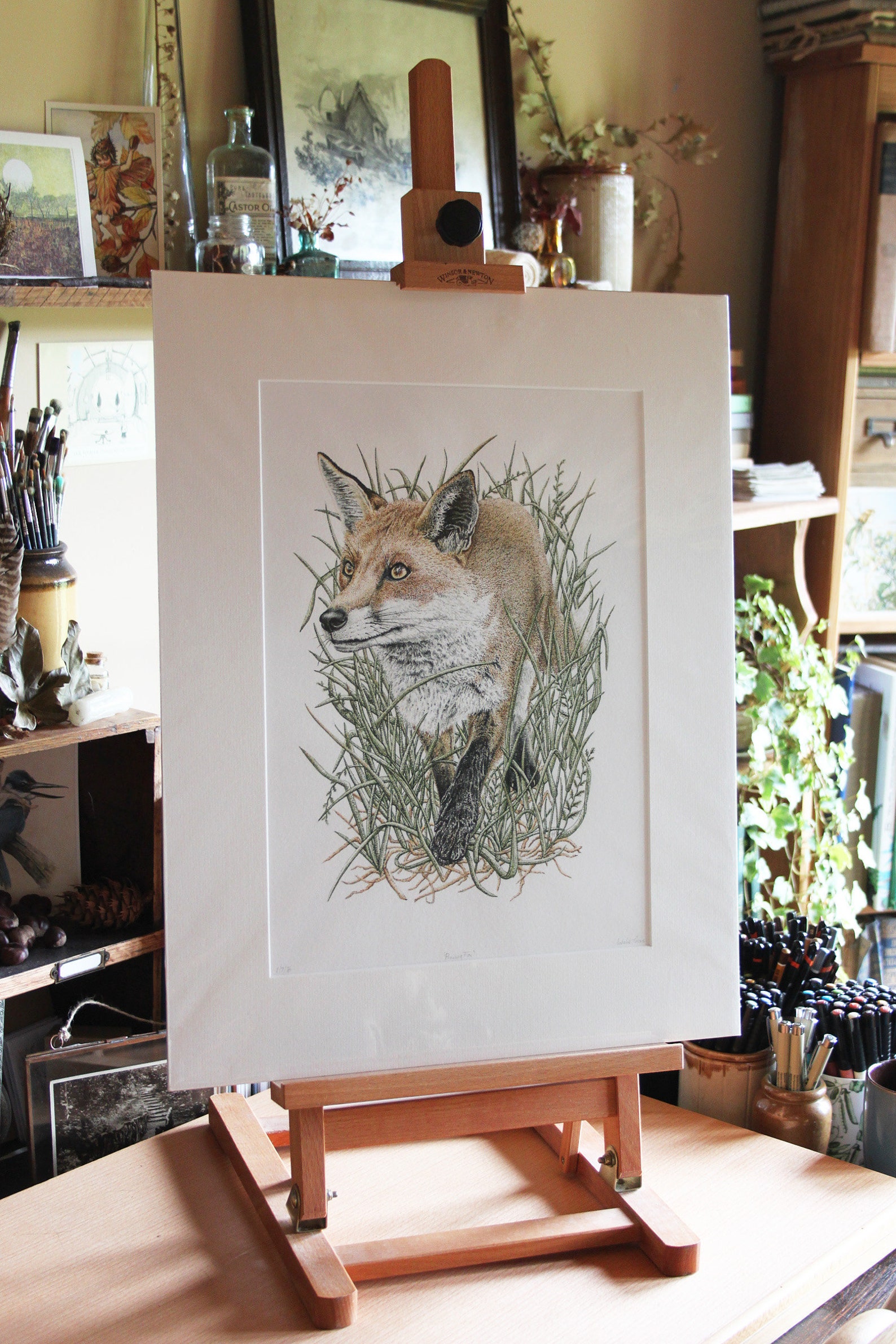 PRINT Prowling Fox Hand Signed Giclée Print Cornish Etsy