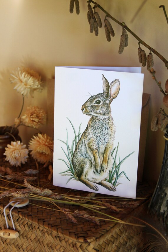 CARD Rabbit Cornish Artist Wildlife Art Rabbit Art Etsy