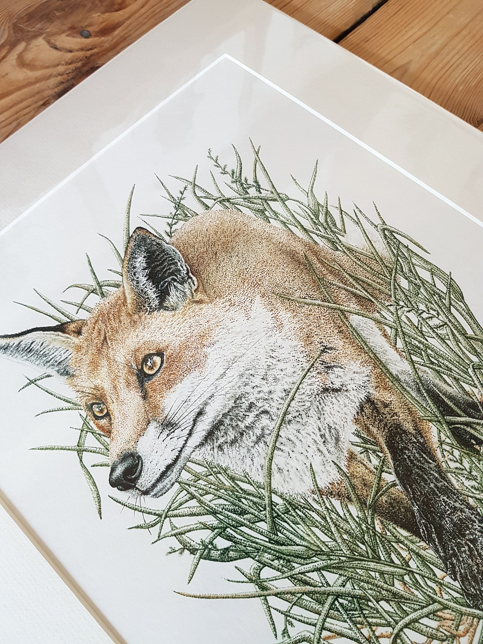 PRINT Prowling Fox Hand Signed Giclée Print Cornish Etsy