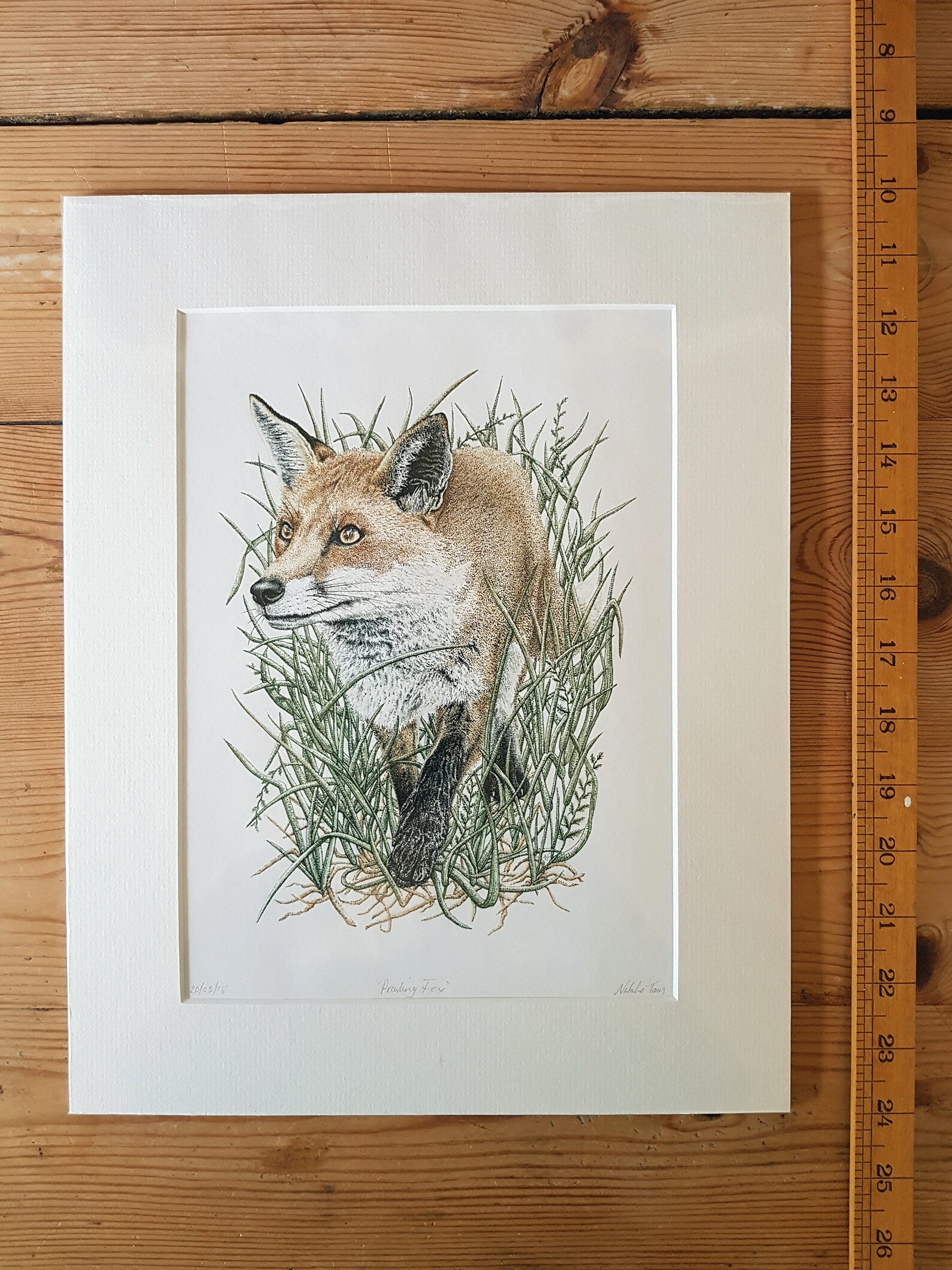 PRINT Prowling Fox Handsigned Giclée Print Cornish Etsy