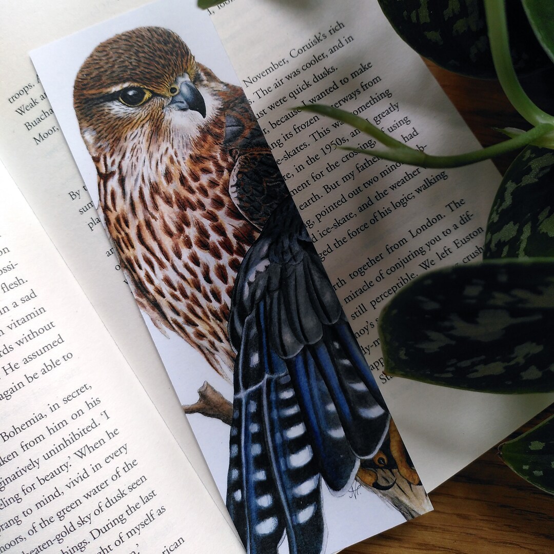 BOOKMARK Merlin Falcon Bird Art Wildife Art Gifts for Nature Lovers ...