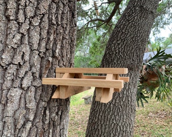 Kit de mesa de picnic ardilla