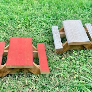 Squirrel Gift - Picnic Table