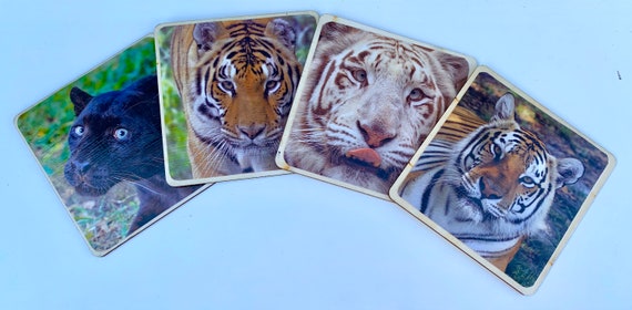 Coasters Big Cat Coaster Set Dutchess, Jasmine and Sapphire Tigers and Jinx Black Leopard