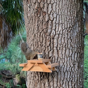 Squirrel Feeder