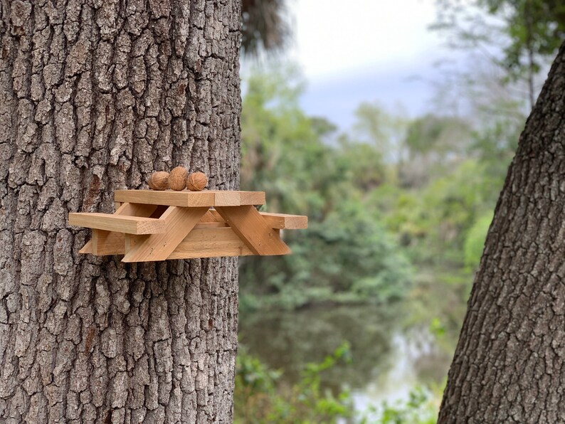 May include: A miniature wooden picnic table with three walnuts on the table top. The table is attached to a tree trunk.