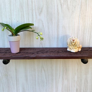 Peut inclure: Une étagère en bois brun foncé avec des supports en métal noir. Une petite plante d'orchidée en pot et une figurine de chien en céramique sont sur l'étagère.