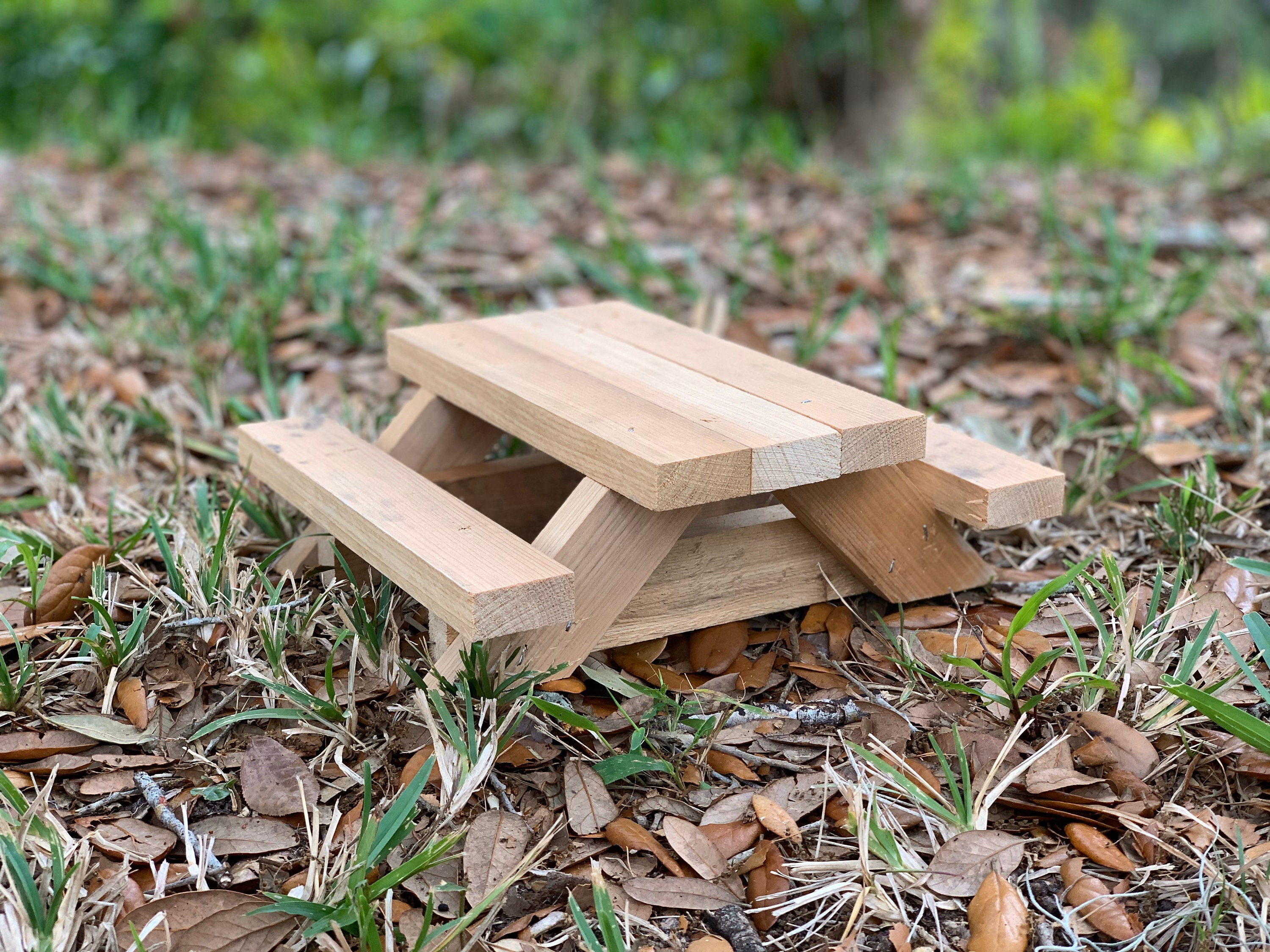 Picnic Table for Squirrels | Etsy