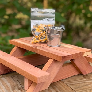Best Squirrel Picnic Table with Feeder Pail