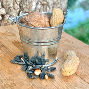 May include: A small silver metal bucket filled with a walnut, peanuts, and sunflower seeds. The bucket is sitting on a wooden surface.