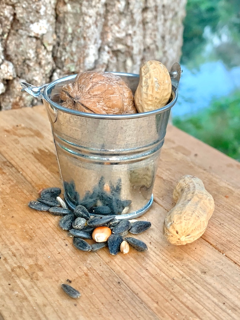 May include: A small silver metal bucket filled with a walnut, peanuts, and sunflower seeds. The bucket is sitting on a wooden surface.