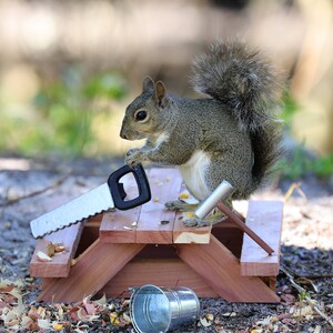 May include: A gray squirrel sits on a miniature wooden picnic table, holding a toy saw. The squirrel is surrounded by wood shavings and a small metal bucket.