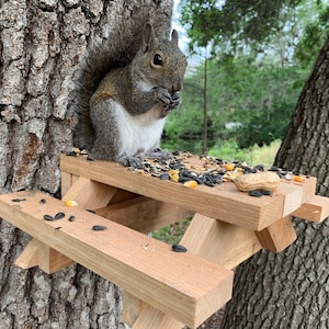 Squirrel Picnic Bench