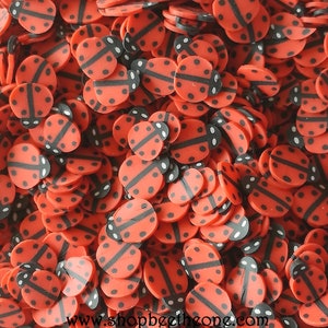 May include: A close-up of many red ladybug-shaped polymer clay slices. Each slice has black markings, including a central line and black spots. The ladybug slices are scattered, creating a textured, colourful pattern. The website address www.shopbeetheone.com is visible at the bottom.