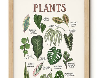BUNDLE - ALL 20 Plant Identification Charts - Digital Download - Etsy