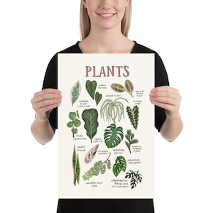 House Plant Identification Poster - Etsy