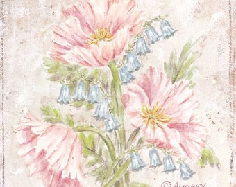 Poppy Art Print Pink Poppies Art Print Vintage Style Open Edition Signed 8x10 by Audrey Ascenzo