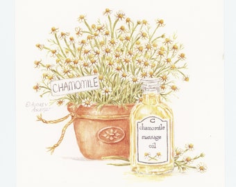 Chamomile Art Print Aroma  Care 6 x 6 Open Edition Signed Artist  Print by Audrey Ascenzo