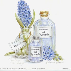 Aromatherapy Art Print Hyacinth Blue Bath Essence 6 x 6 Open Edition Signed Art print by Audrey Ascenzo image 3
