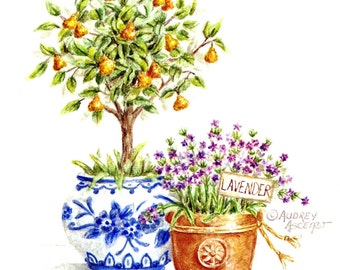 Pear Tree Art Print With Lavender Blue and White Pot 9x9 Open Edition Signed Art Print by Audrey Ascenzo