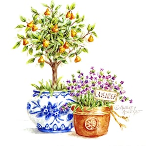 Pear Tree Art Print With Lavender Blue and White Pot 9x9 Open Edition Signed Art Print by Audrey Ascenzo