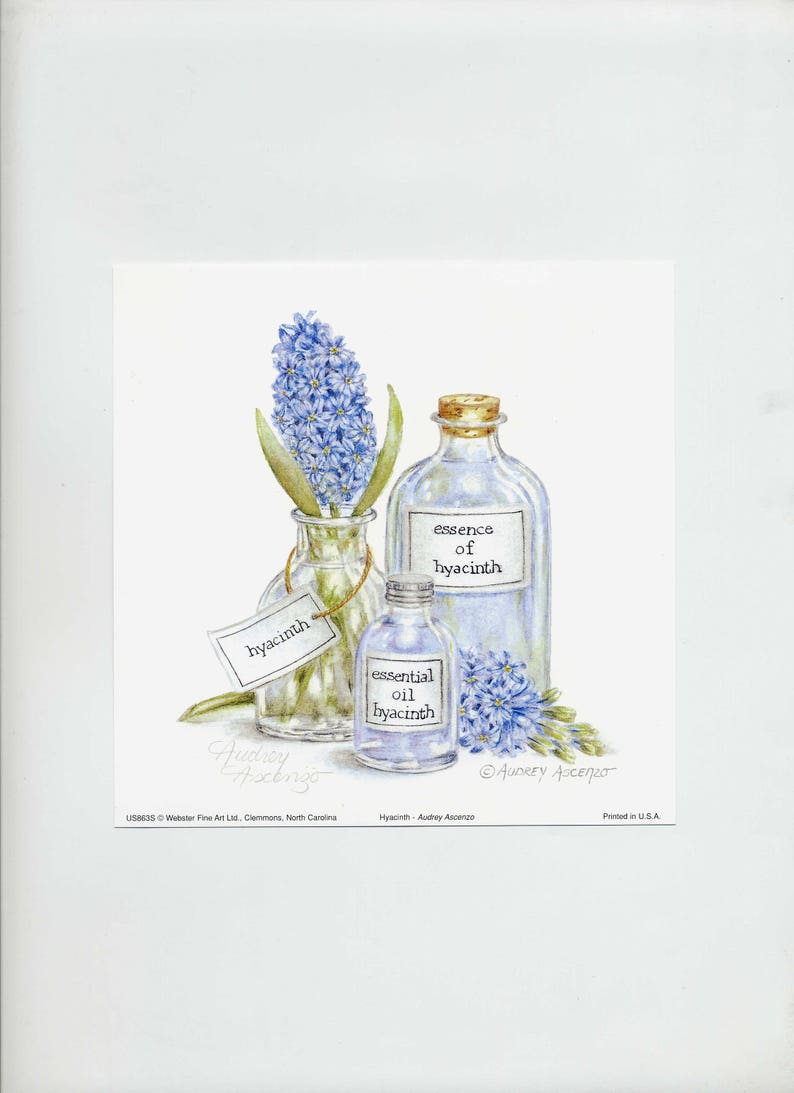 Aromatherapy Art Print Hyacinth Blue Bath Essence 6 x 6 Open Edition Signed Art print by Audrey Ascenzo image 10