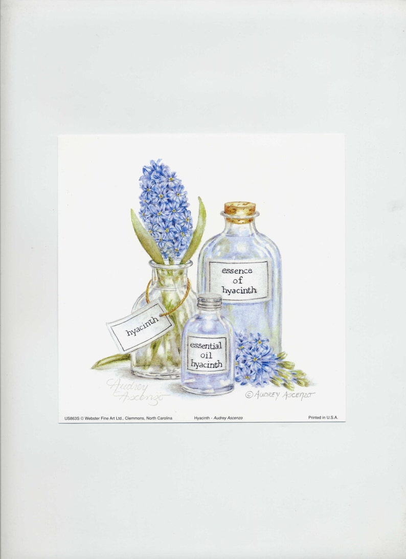 Large apothecary bottle is labeled essence of hyacinth with soft light blue liquid.