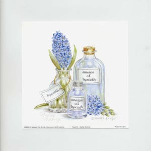 Aromatherapy Art Print Hyacinth Blue Bath Essence 6 x 6 Open Edition Signed Art print by Audrey Ascenzo image 6