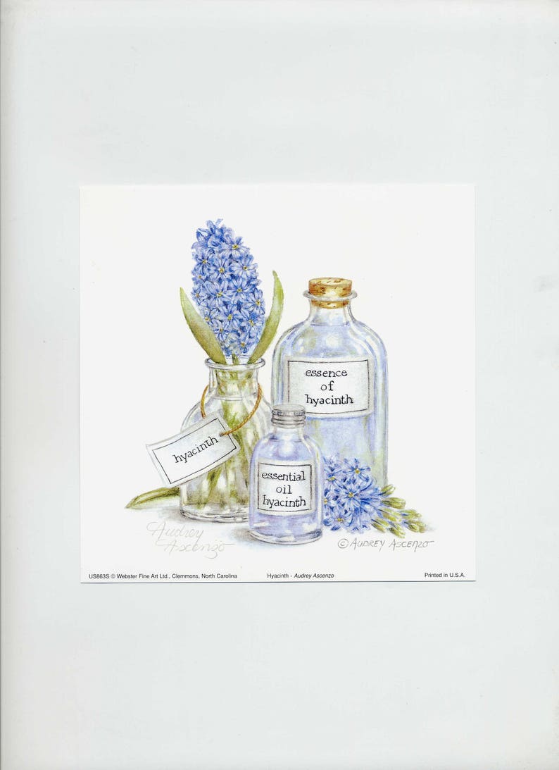 Aromatherapy Art Print Hyacinth Blue Bath Essence 6 x 6 Open Edition Signed Art print by Audrey Ascenzo image 6