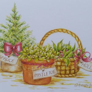 Christmas Garden Plants Greeting Card Spruce Mistletoe Holly Christmas Card Christmas Card 5x7 Single Paper Christmas Card