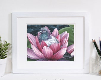 Peaceful Pigeon 8″x10″ Art Print